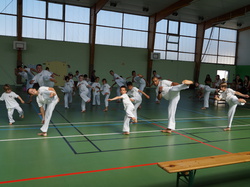 <a style='color: #fff;' href='/uploaded/photo/3eme-bapteme-de-capoeira-ecb-53fbac7a6e94b.jpg'>(Télécharger)</a>