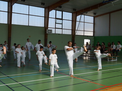 <a style='color: #fff;' href='/uploaded/photo/3eme-bapteme-de-capoeira-ecb-53fbac7c2321f.jpg'>(Télécharger)</a>