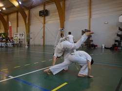  <a style='color: #fff;' href='/uploaded/photo/4-festival-de-capoeira-ecb-jalara-556b033a39622.jpg'>(Télécharger)</a>
